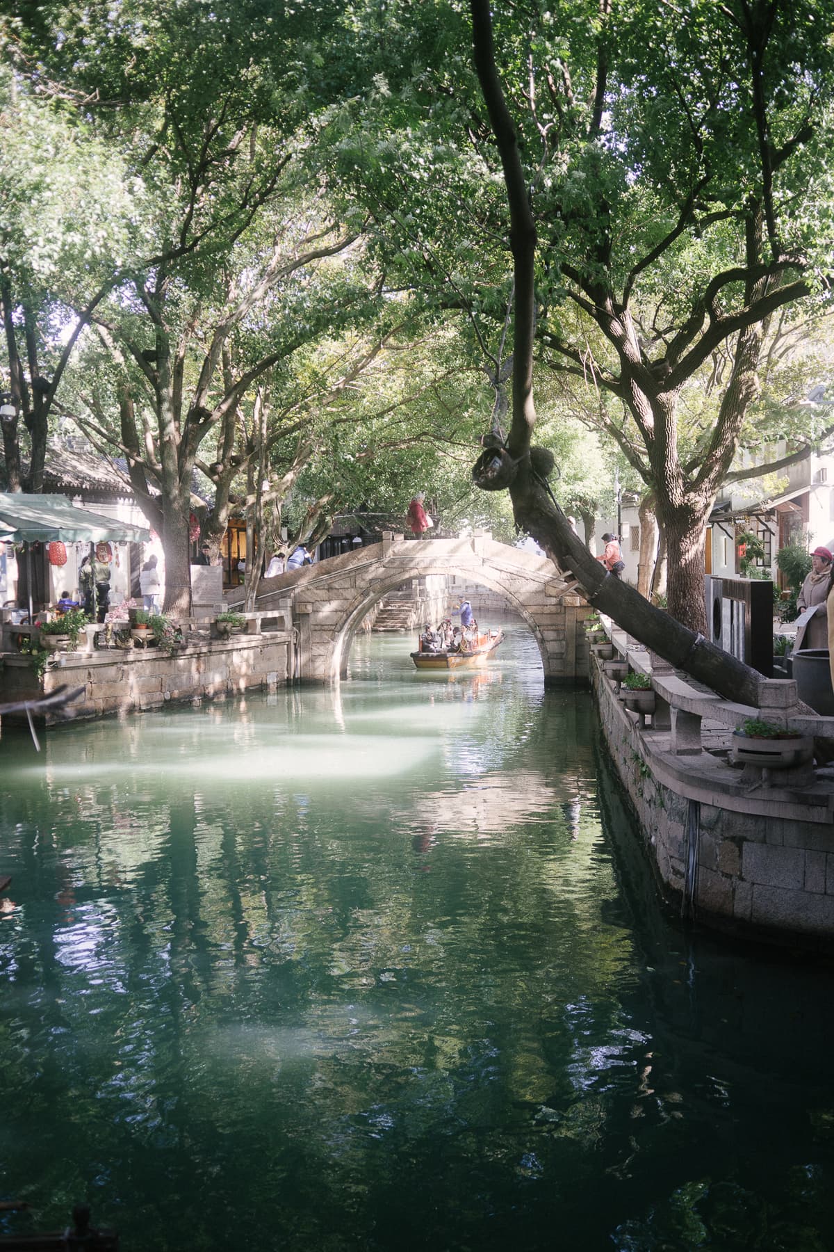 A calm canal lined with leaning green trees and a stone arch bridge in the ancient water town of Suzhou, China